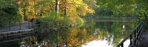 Prospect Park