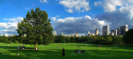 Sheep Meadow