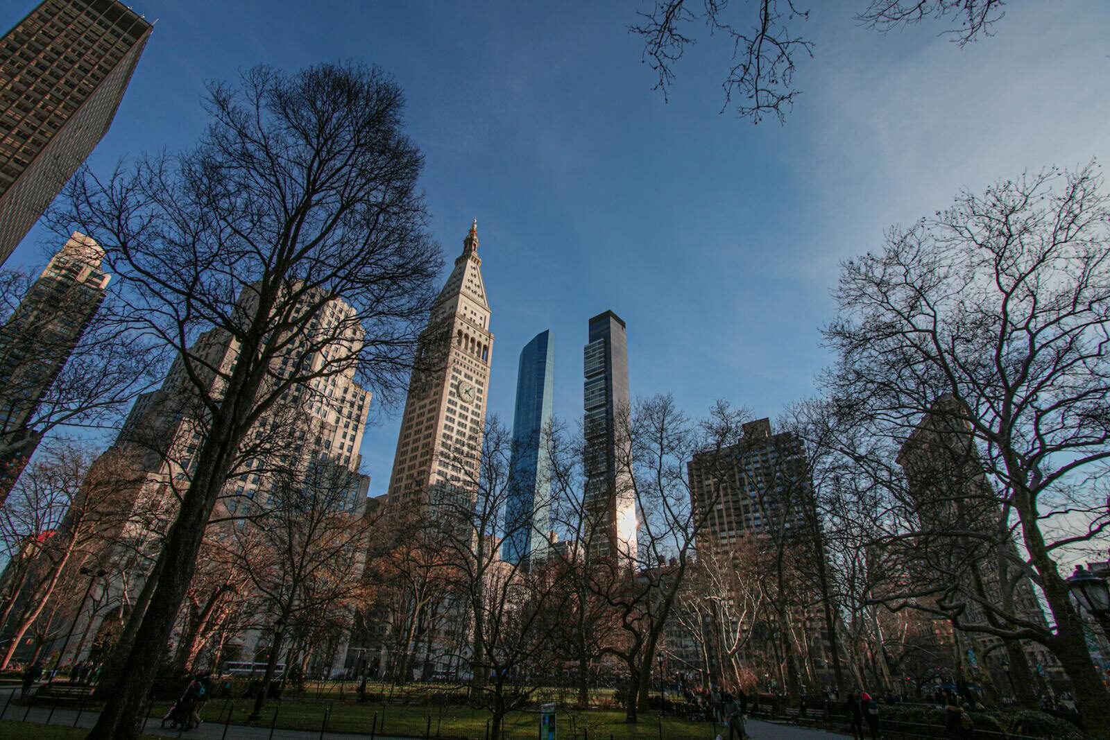 Beautiful view of New York City's famous skyline with skyscrapers and Central Park trees.
