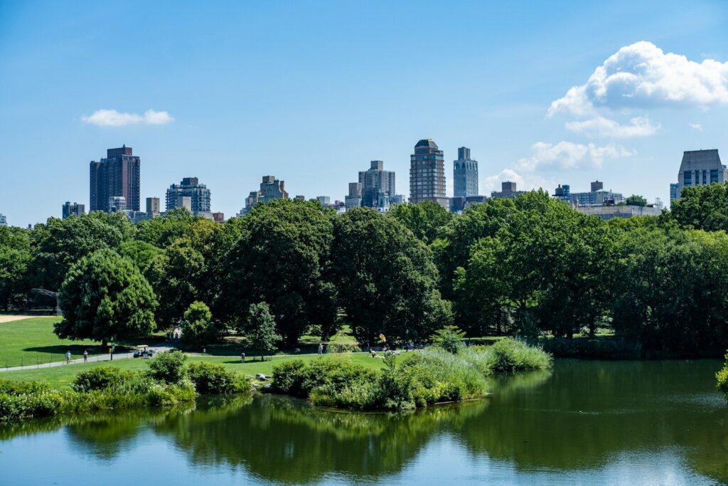 Central Park v New Yorku