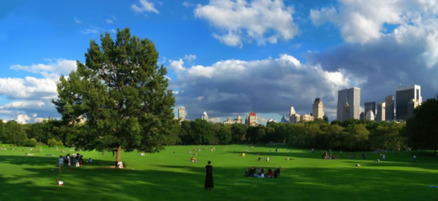 Sheep Meadow